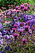 PERENNIAL BORDER IN SUMMER