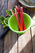 HARVESTED RHUBARB