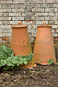 RHUBARB FORCING POTS