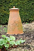 RHUBARB FORCING POT