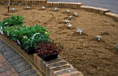 NEWLY CONSTRUCTED BORDER,  PLANTS READY FOR PLANTING