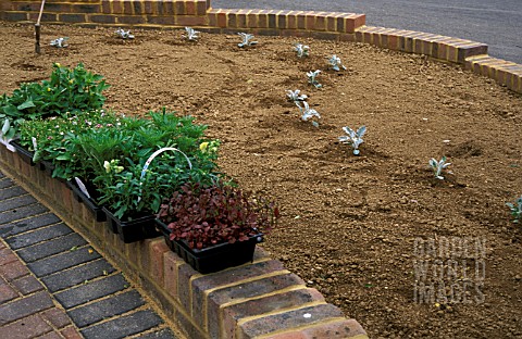 NEWLY_CONSTRUCTED_BORDER__PLANTS_READY_FOR_PLANTING
