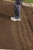 TREADING DOWN NEW TOPSOIL PRIOR TO PLANTING