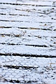 CHICKEN WIRE OVER PATH TO STOP SLIPPING   SNOW