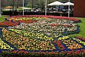 KEUKENHOF   HOLLAND 2006