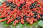 SOFT FRUIT ARRANGEMENT