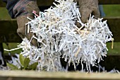 ADDING SHREDDED PAPER TO COMPOST