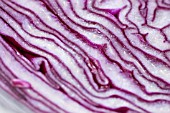 RED CABBAGE