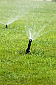 WATER SPRINKLERS IN LAWN