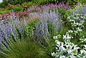 COMBINATION PRAIRIE STYLE PLANTING