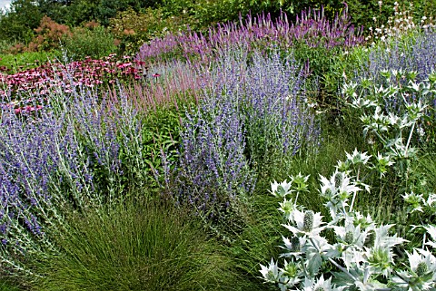 COMBINATION_PRAIRIE_STYLE_PLANTING