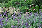 COMBINATION PLANTING SUMMER BORDER