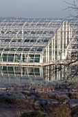 NEW WISLEY GLASSHOUSES