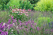 COMBINATION OF PERENNIALS AND GRASSES