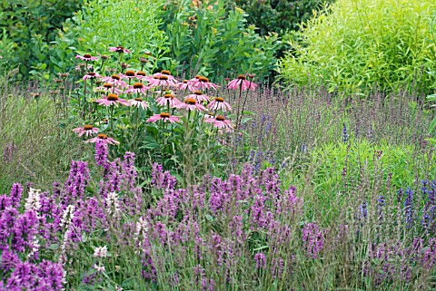 COMBINATION_OF_PERENNIALS_AND_GRASSES