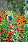 TWIGGY PLANT SUPPORTS FOR PERENNIALS