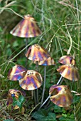 GARDEN ORNAMENT MUSHROOMS