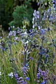 GARDEN ORNAMENT IN GRASS WITH  ERYNGIUM - HAMPTON COURT 2008 - BENECOL PRISM GARDEN