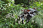 SPRING COMBINATION - PERSICARIA, HEUCHERA, IRIS, GRASS, DICENTRA