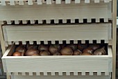 ONION STORAGE SYSTEM