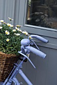 BIKE FEATURE IN GARDEN