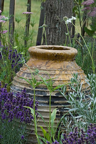 RUSTIC_POT_SURROUNDED_BY_DROUGHT_RESISTANT_PLANTS