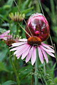 BORDER COMBINATION OF ECHINACEA WITH CO-ORDINATING GLASS ORNAMENT