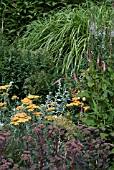 LATE SUMMER PERENNIAL BORDER