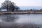 RHS WISLEY SCENE IN WINTER