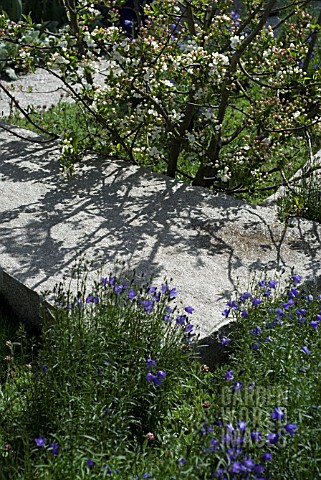 FRUIT_TREE_IN_SMALL_SHADY_GARDEN