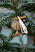 OUTDOOR CHRISTMAS DECORATION - NATURAL PRODUCTS
