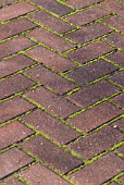 MOSS GROWING BETWEEN HERRING BONE DESIGN PATIO