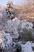 SNOWFALL IN THE GARDEN