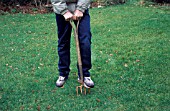 AERATION OF LAWN WITH FORK.