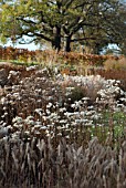 AUTUMN STRUCTURE  AT RHS WISLEY