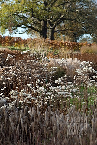 AUTUMN_STRUCTURE__AT_RHS_WISLEY