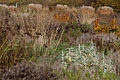 AUTUMN PLANTING AT RHS WISLEY