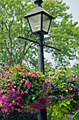 HANGING BASKETS ON LAMP POST