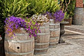 BARREL PLANTERS IN TORONTO,  CANADA