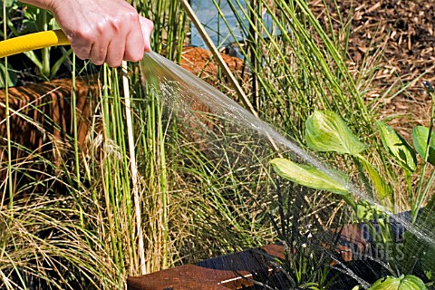 WATERING_A_RAISED_BED