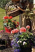 STALL AT RHS FLOWER SHOW