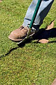 CUTTING TURF WITH EDGING TOOL