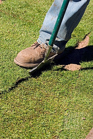 CUTTING_TURF_WITH_EDGING_TOOL