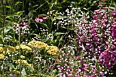 VIEW OF A TASTE OF RIBBLESDALE PARK BY PAUL HENSEY,  ELYSIUM DESIGN,  RHS FLOWER SHOW,  TATTON PARK