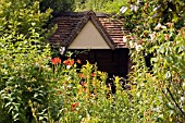 COTTAGE GARDEN AT BIRMINGHAM BOTANICAL GARDENS