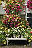 HANGING BASKETS AND WINDOW BOXES AT THE CROSS KEYS AT USK,  WALES