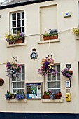 HANGING BASKETS AND WINDOW BOXES AT THE POLICE STATION IN USK,  WALES,  SHOWING WATERING SYSTEM