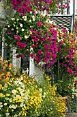 HANGING BASKETS AND WINDOW BOXES AT THE CROSS KEYS IN USK,  WALES