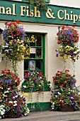 HANGING BASKETS AND WINDOW BOXES AT THE FISH AND CHIP SHOP IN USK,  WALES