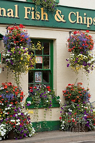 HANGING_BASKETS_AND_WINDOW_BOXES_AT_THE_FISH_AND_CHIP_SHOP_IN_USK__WALES
